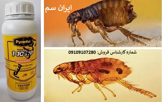 سموم آلمانی کک کش شرکت ایران سم